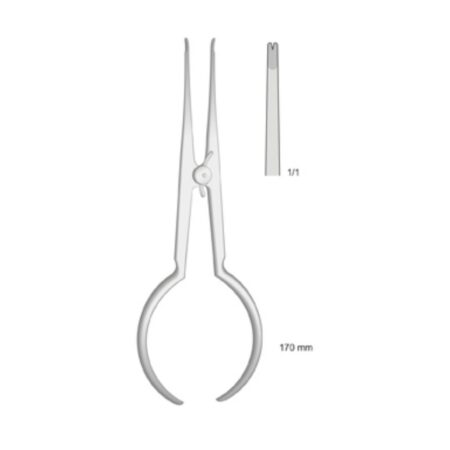 Pinza di Steiner