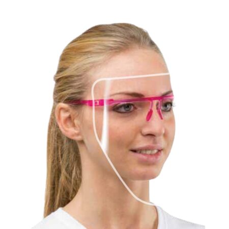 VISIERA PROTETTIVA R60