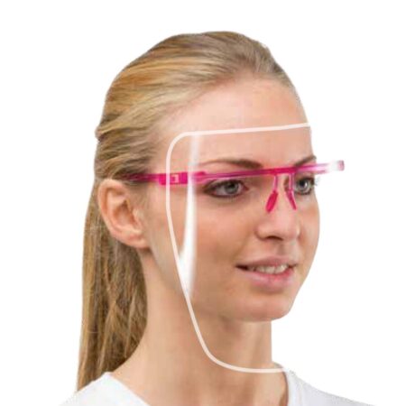 VISIERA PROTETTIVA R66