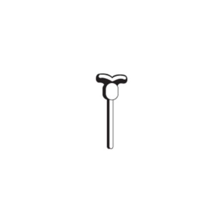 Ganci a â€œTâ€